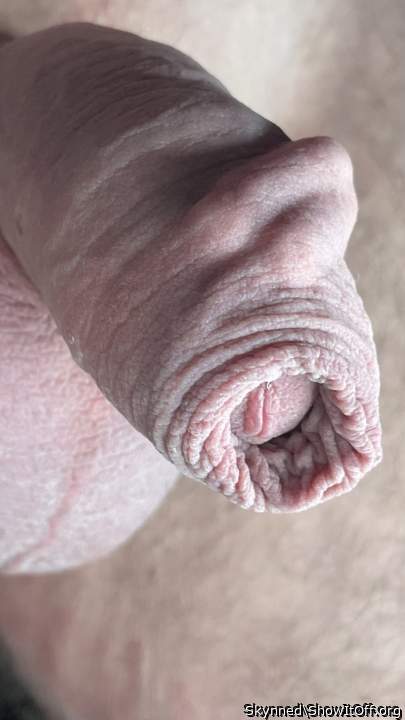 Photo of a snake from Skynned
