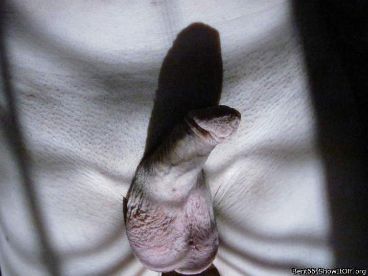 Photo of a sausage from Bent66