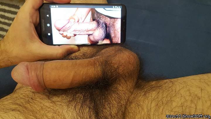 Photo of a bat from zizou11