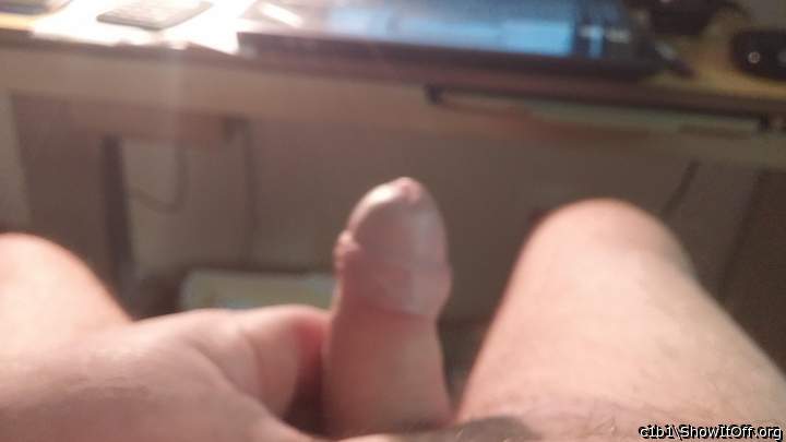 Photo of a prick from c1b1