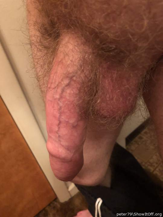     Hot hairy cock