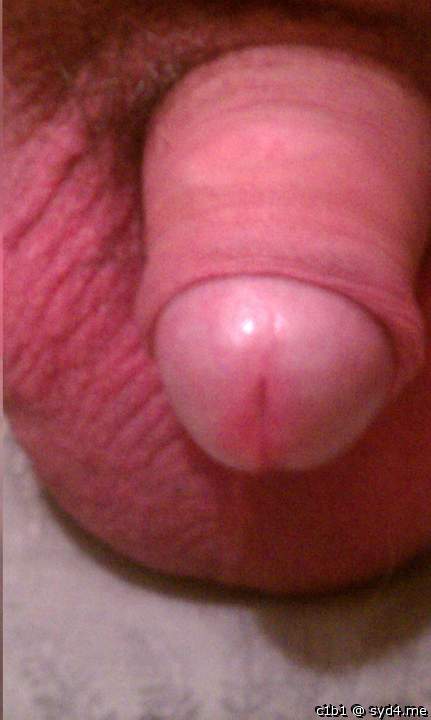 Photo of a pecker from c1b1