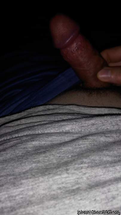 Photo of a middle leg from jelusic