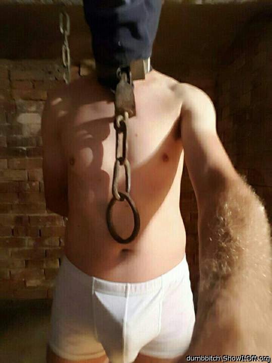 Bondage Dog