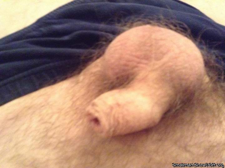 lovely dick and balls   
