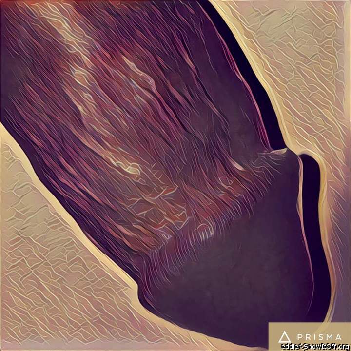 Photo of a stiffie from eddier