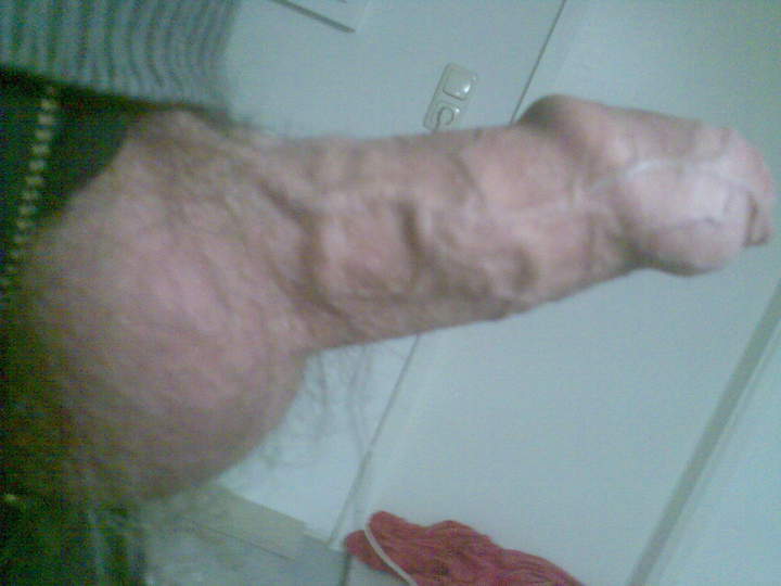 Photo of a snake from nice_dong