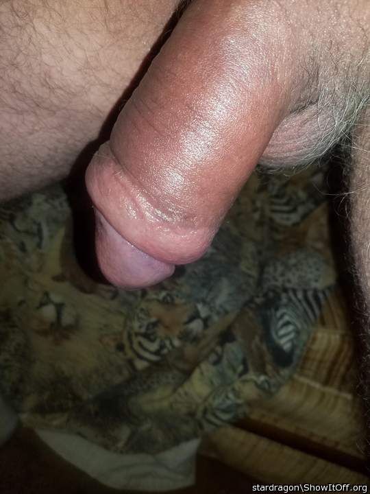 Photo of a dick from stardragon