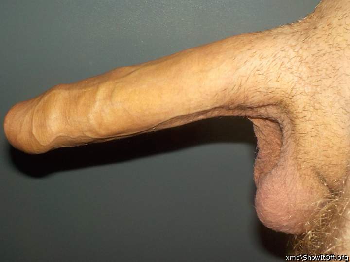 Photo of a dong from xme