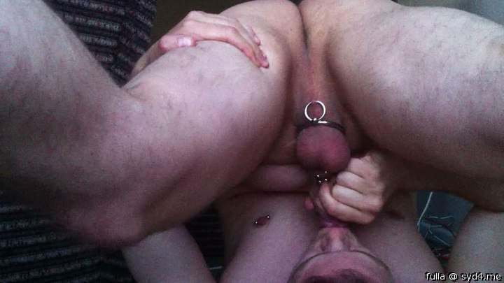 pierced cock selfsuck