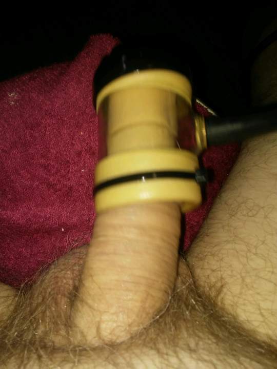 Photo of a weasel from niceonebighead
