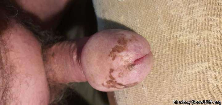 Photo of a cock from hiluxboy