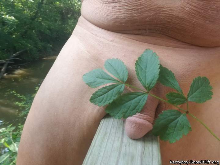 Makes me want to pick some berries