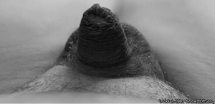 Photo of a cock from DickFun1981