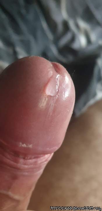 Gorgeous shiny knob and lovely to see precum oozing out. I c