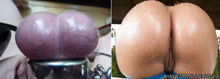 Balls or Butt?