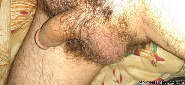 Testicles Photo from DeadEndSperm