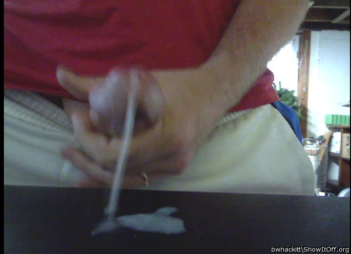Photo of a cock from bwhackitt