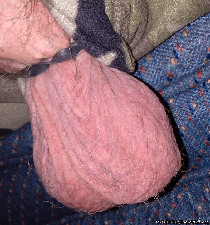 Photo of a hot dog from MYDICK4U