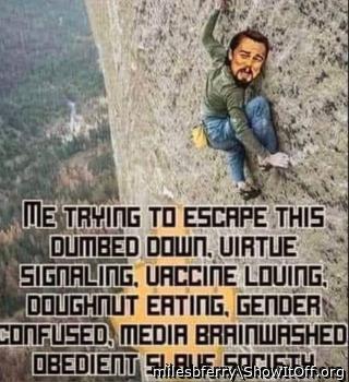 Slave Society