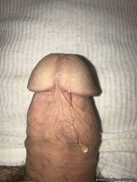 Photo of a lizard from jimes104