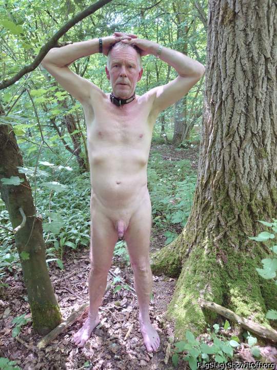 Photo of a bat from FagSlag