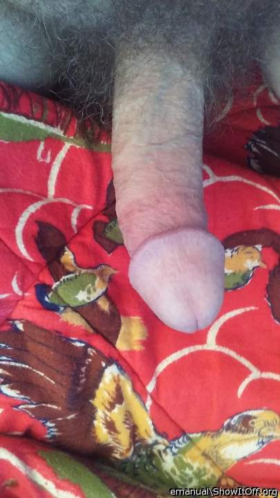 I like your large cock 