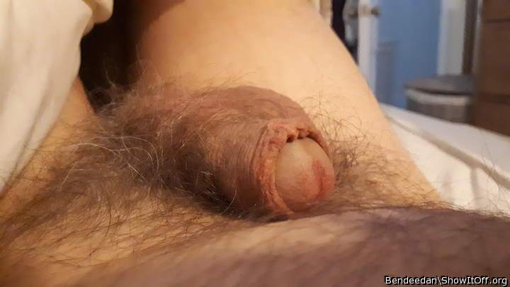 Morning softie