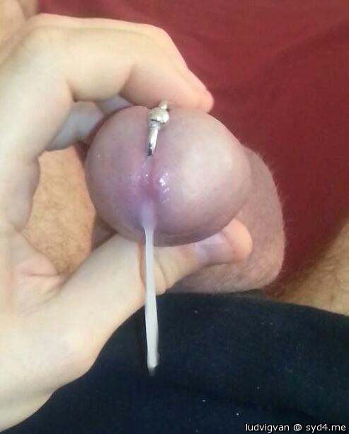 Love to slip my lips over that smooth head 