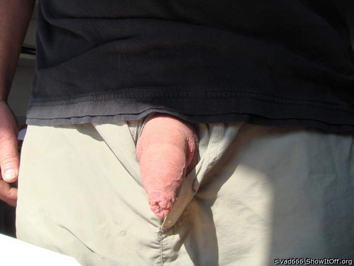 Photo of a cavalier from sivad666