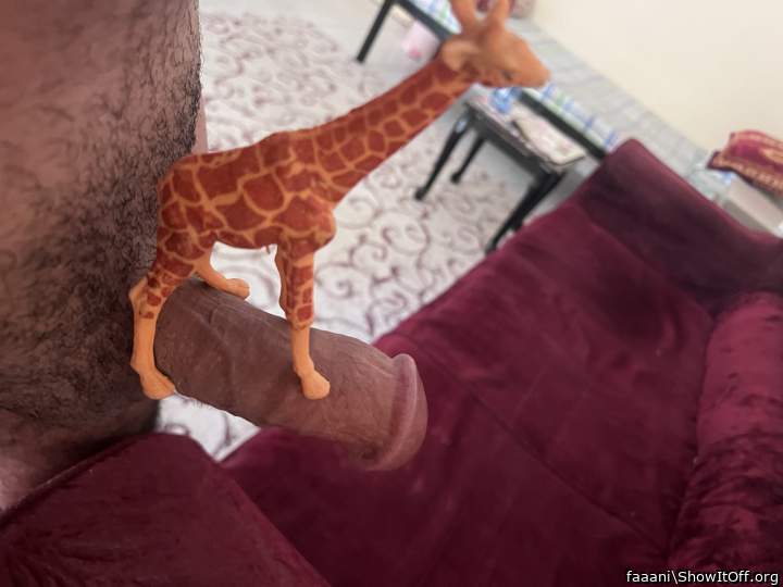 Photo of a private part from faaani
