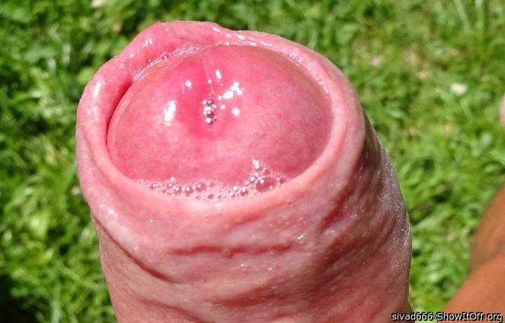 Photo of a tool from sivad666