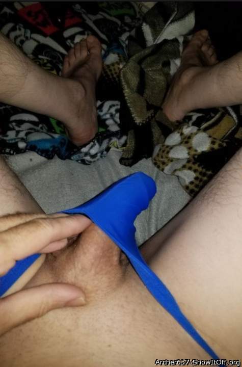 Photo of a middle leg from Archer637