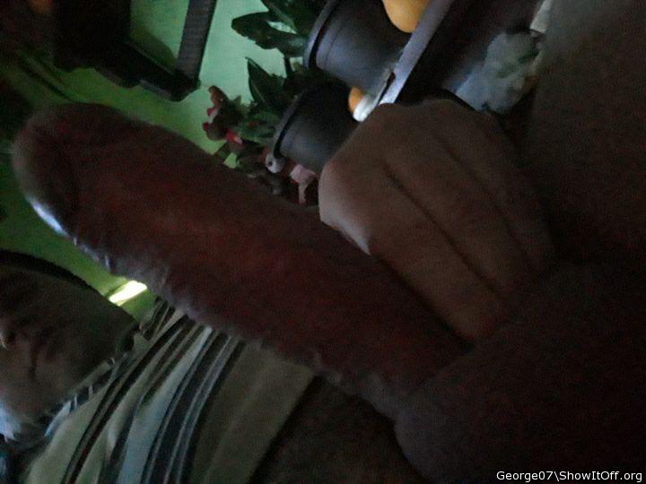 Photo of a lizard from George07