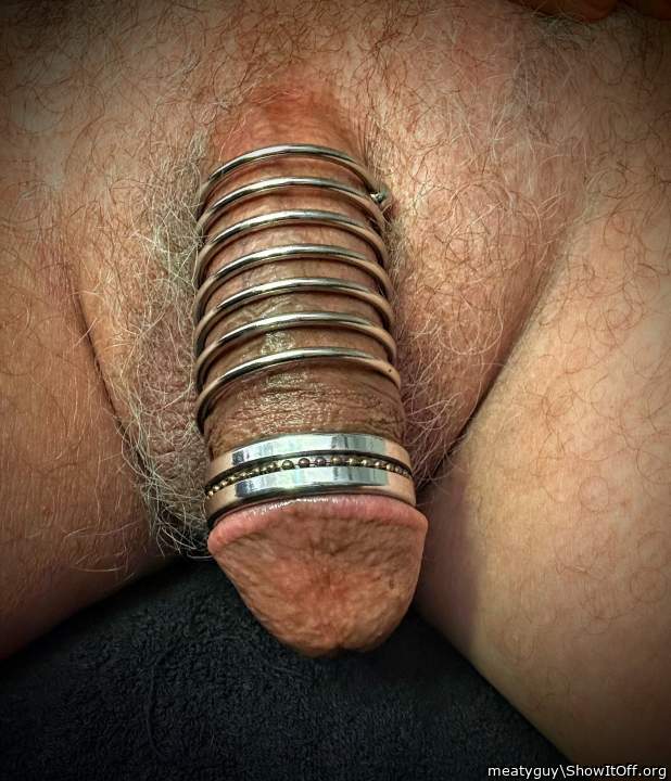 Photo of a bat from meatyguy
