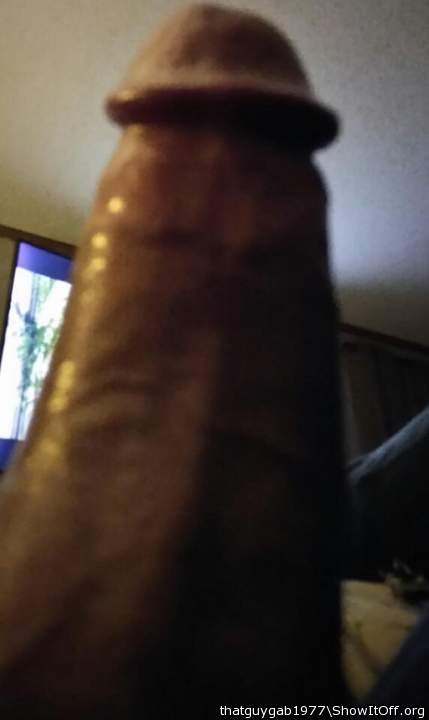 Photo of a boner from thatguygab1977