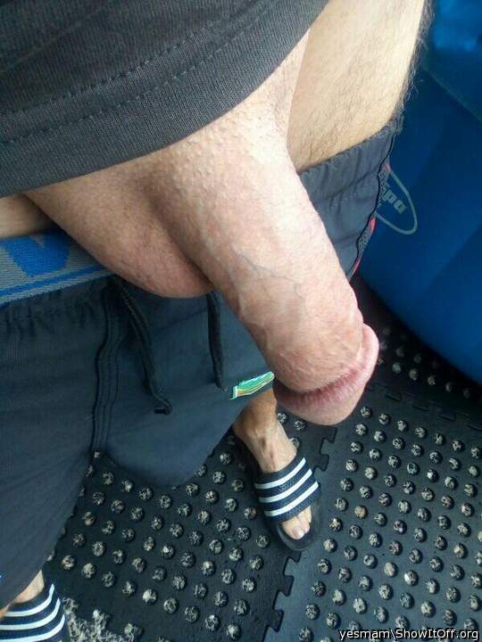 Photo of a wiener from yesmam