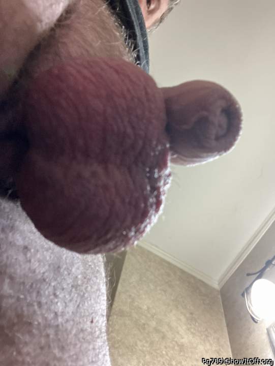 Testicles Photo from Pg789