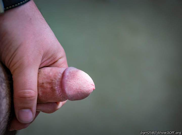 Photo of a bat from bgm2580