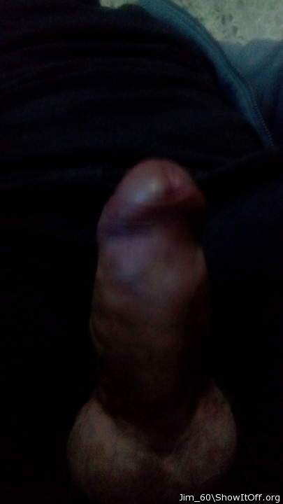 Photo of a snake from Jim_60