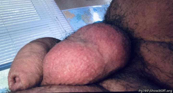 Testicles Photo from Pg789