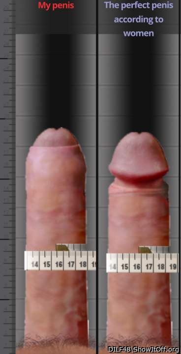 Photo of a schlong from DILF48