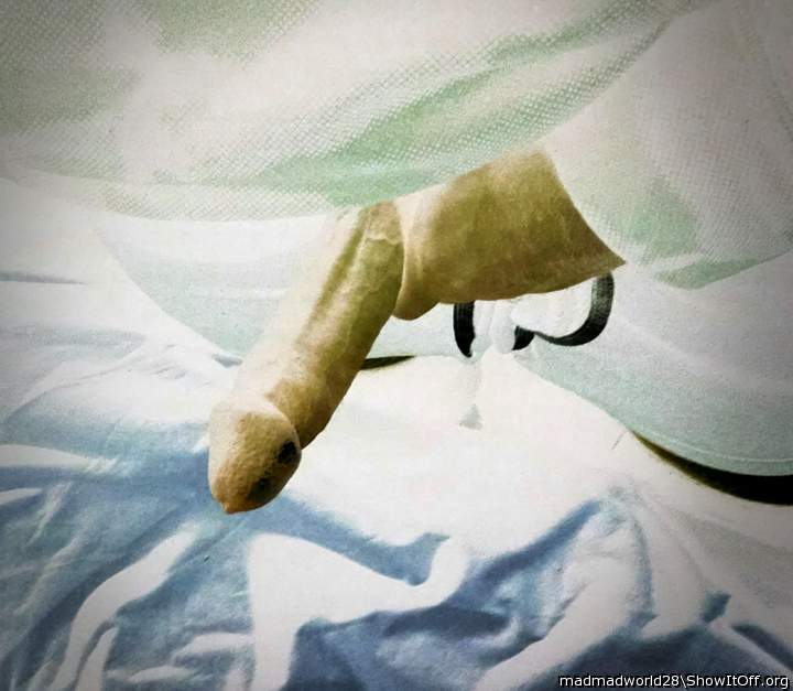 Photo of a weasel from madmadworld28