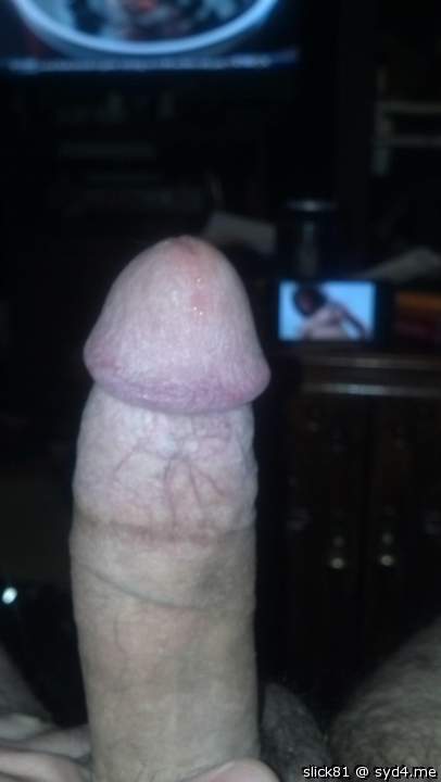 Photo of a lizard from slick81