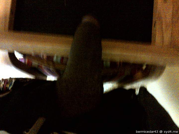 Photo of a thing from bermicedar43