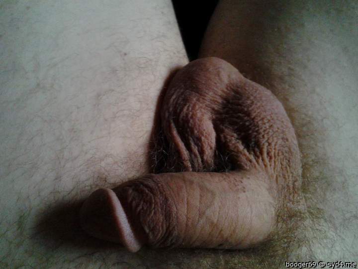 Photo of a weasel from booger69