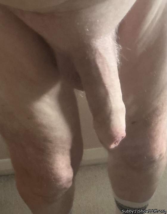 Photo of a weasel from Subby1