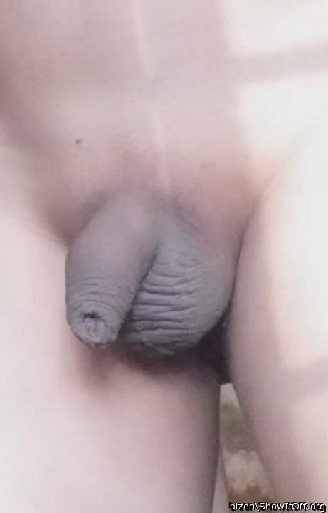 beautiful penis 