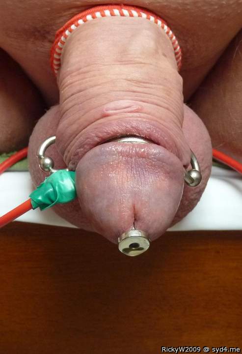 Preparing to for electro ejaculation