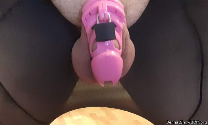 Photo of a penis from Jenna